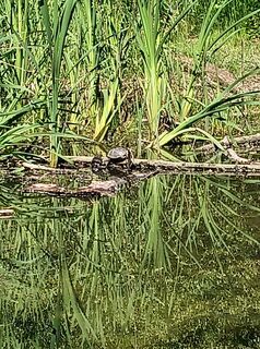 Foto de Julika Jármer a lo largo del recorrido