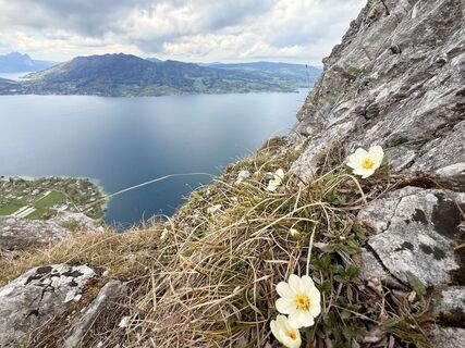 Foto von Natur_erleben_dg entlang der Tour