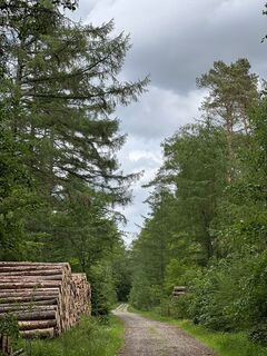 Photo de Harald Engel le long du parcours