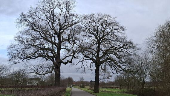 Foto de Wendy in de Braak a lo largo del recorrido