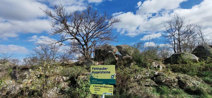 Foto de I Breitler60 a lo largo del recorrido