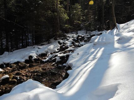 Puchberg - Schneebergdörfl - Mieseltal - Waxriegel