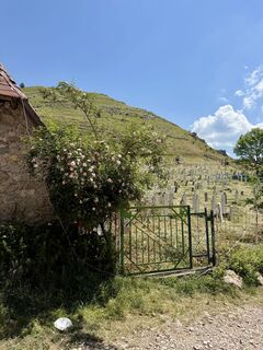 Foto von kani entlang der Tour