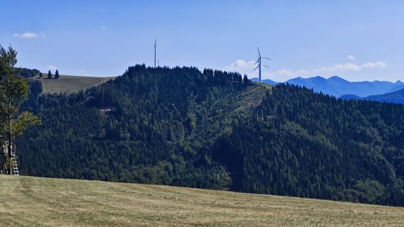 Fotografija s spletne strani stephan heimel 1 na poti