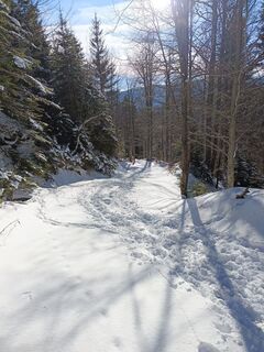 Fotografija s spletne strani Oskar Šolar na poti