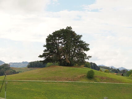 Foto von Kurt Rieder entlang der Tour