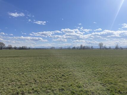 Fotografia z Florian Brandt na trase