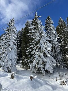 Foto von Rosmarie Brandner entlang der Tour