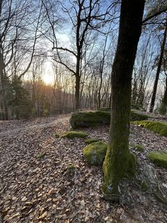 Foto de Clemens Roiß a lo largo del recorrido