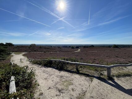 Foto de Raymond Woertman a lo largo del recorrido