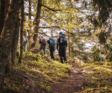 Wandern auf dem Rappenfelsensteig
