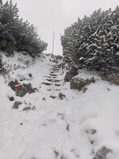 Foto von Daniela Hackl entlang der Tour