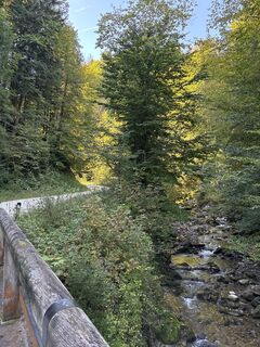 Fotografia z Heinz Sperl na trase