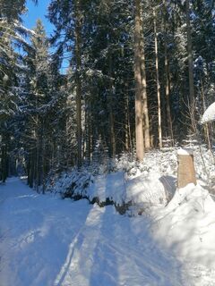 Foto de Ingo a lo largo del recorrido