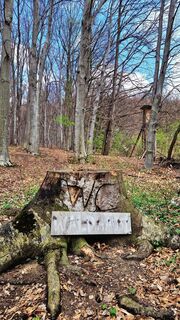 Foto de Elisabeth Rossa a lo largo del recorrido