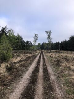Foto von TM Kuperus entlang der Tour