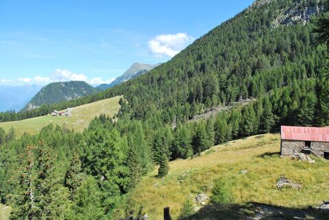 Alpe Peurett