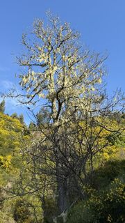 Fotografia z Marki1966 na trase