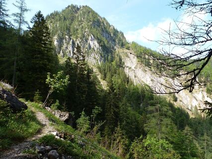 Abstieg Hinterwildalpen Eisenerzer Höhe