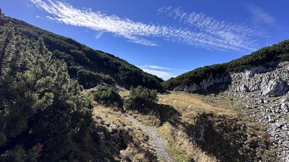 Photo de Mountain Cat ? ⛰️ le long du parcours
