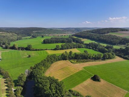 Blick auf die Jagstauen von Krautheim/Berg