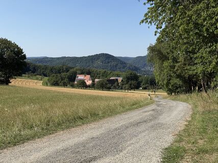 Photo de Andreas Hanek le long du parcours