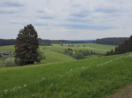 Foto von Bernd Niethammer entlang der Tour
