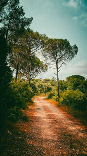Photo de Neno le long du parcours