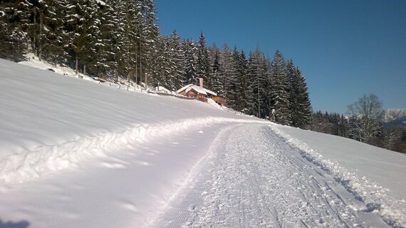 Sattelberghütte Winter