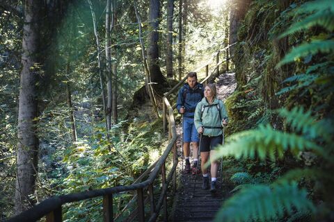 Wanderung zur Hinteren Hängebrücke