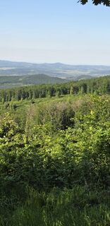 Foto de János Zsolt Mahr a lo largo del recorrido