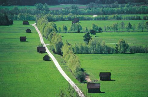 Blick auf den tiefgrünen Ennsboden