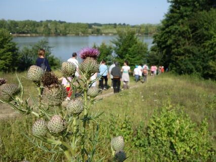 Lac de la Prade - balade ludique 18-08-2015 (ph. Elodie F) (12)