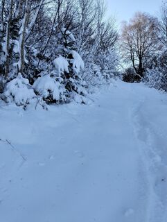 Foto de Daniele Berini a lo largo del recorrido