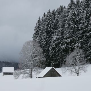 Winterwanderung Guggisberg