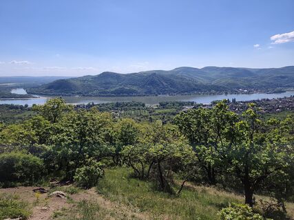 Foto de Csaba Kun a lo largo del recorrido