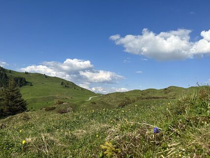 Foto von Hannes Brecka entlang der Tour