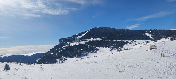 Photo de Trholub le long du parcours