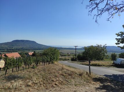 Photo de Làszló Visi le long du parcours