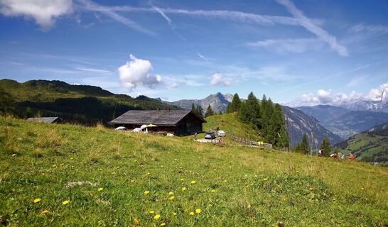 Großwildalm, 1.778 m