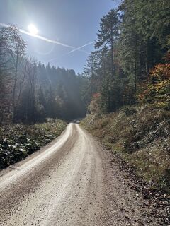 Photo from Heinz Sperl along the tour