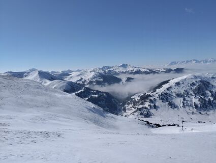 Fotografija s spletne strani Angelika Unterrainer na poti