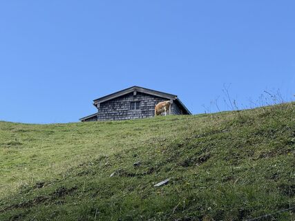 Fotografie z Markus Disselhoff na trase