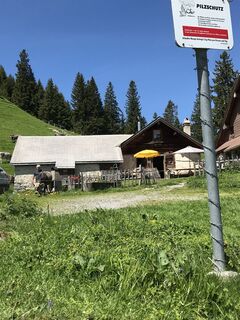 Foto von Rosi Wikart entlang der Tour
