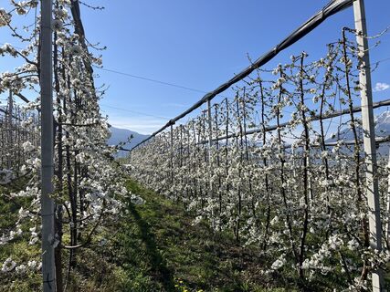 Foto von Ivano Lucin entlang der Tour