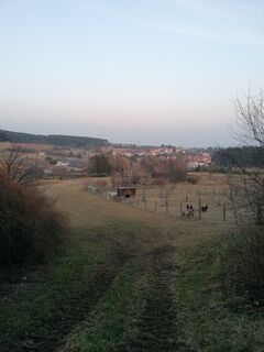 Fotografia z Dragoljub Ilic na trase