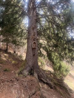 Foto von Steffi Herbst entlang der Tour