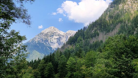 Kuva osoitteesta Utassy Tóth Johanna matkan varrella