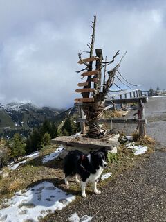 Fotografia z Florian Gerl na trase