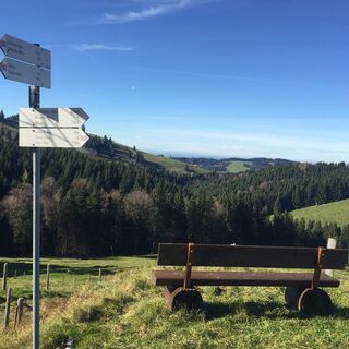 Abzweig an der Hirnbeinalpe